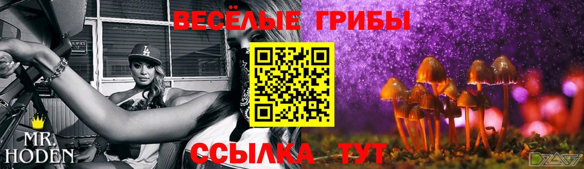 Галлюциногенные грибы Cubensis  Псилоцибиновые грибы Psilocybine cubensis  Вход с VPN  Тосно 